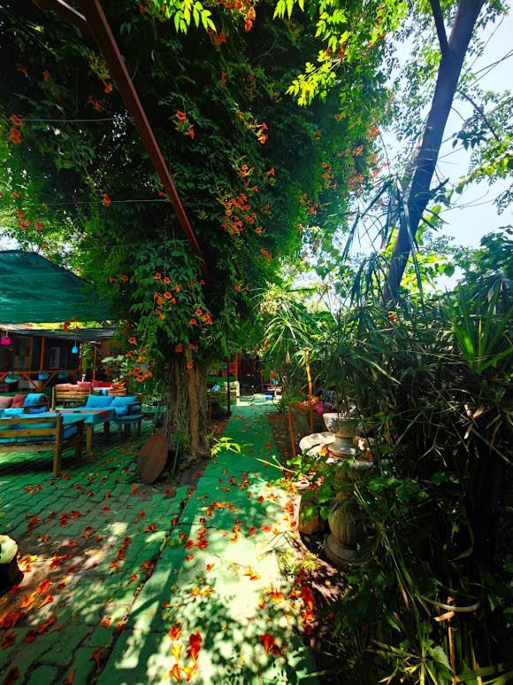 Tuana Garden Oda ve Kahvaltı *
