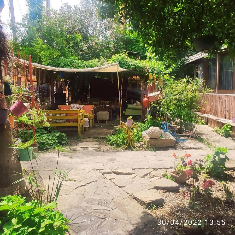 Oda ve Kahvaltı Tuana Garden