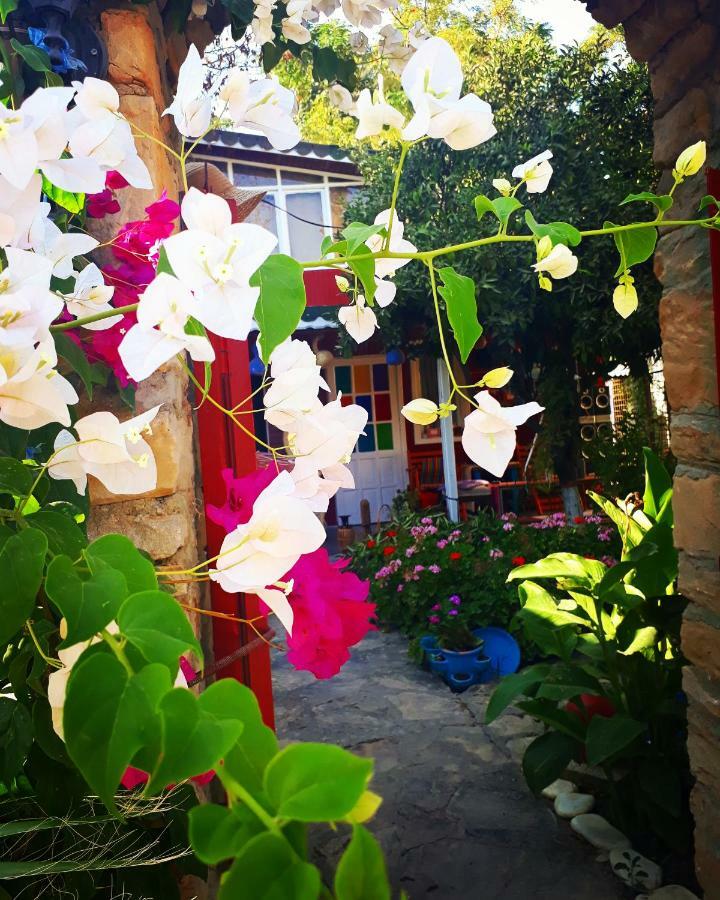 Tuana Garden