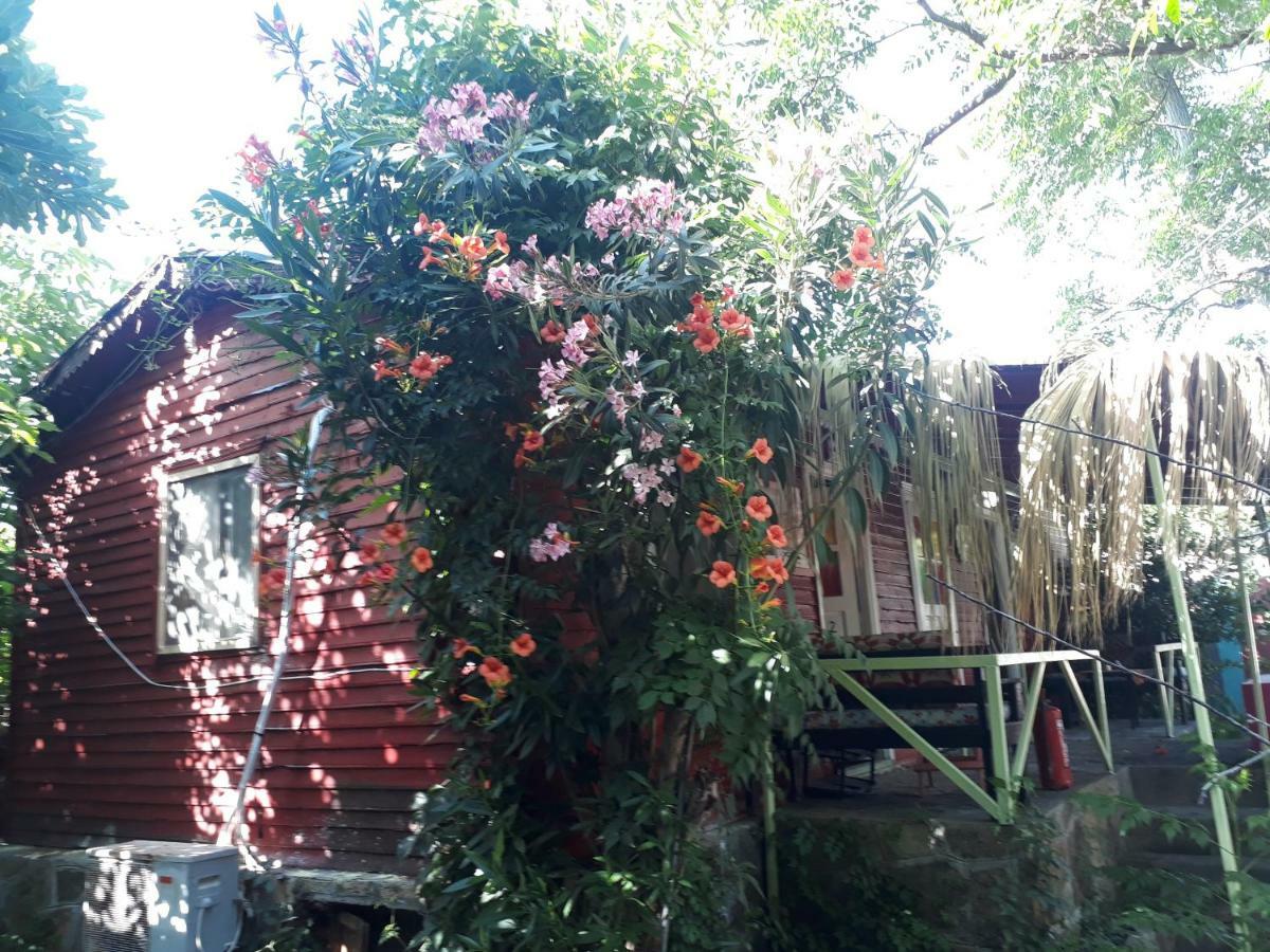 Oda ve Kahvaltı Tuana Garden *