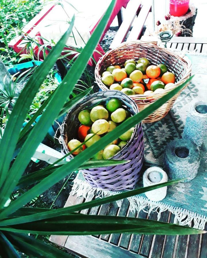 Tuana Garden Oda ve Kahvaltı *