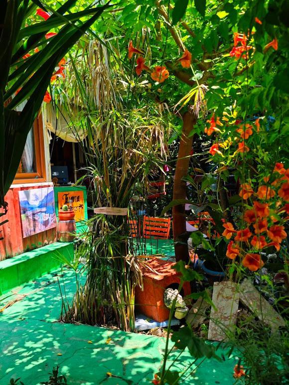 Tuana Garden Bed & Breakfast