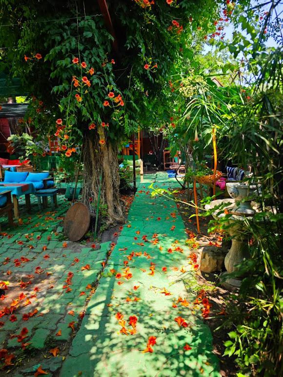 Bed & Breakfast Tuana Garden Side